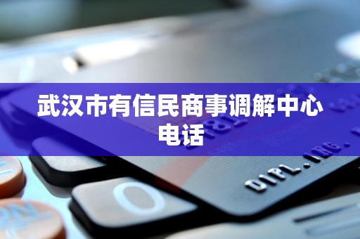 了解武漢市有信民商事調解中心及其個人信用修復服務